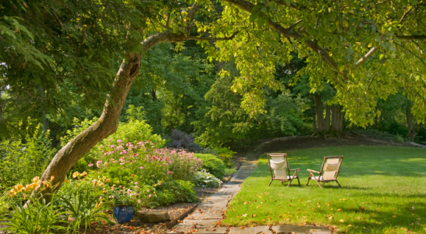 Taman dengan paduan pohon tinggi dan area duduk yang teduh